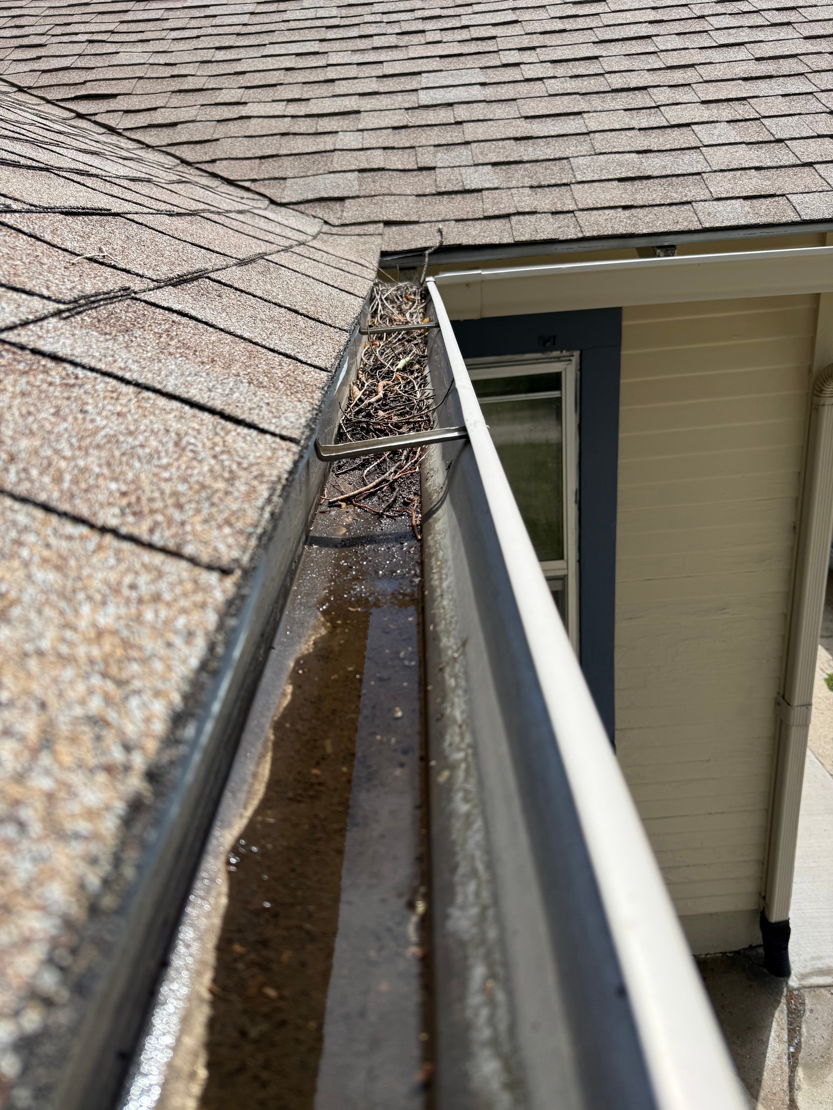 Gutter clogged with debris and leaves before cleaning